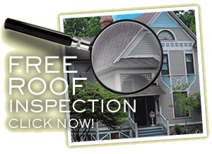 SIMPLE ROOF INSPECTION WILL PREVENT MAJOR REPAIRS