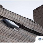 The 4 Most Common Reasons Roofing Systems Fail
