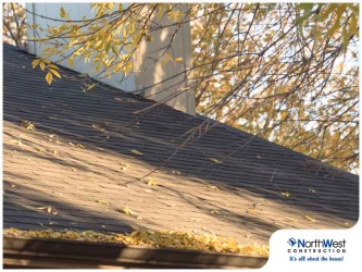 What NOT to Do When Maintaining Your Asphalt Shingle Roof