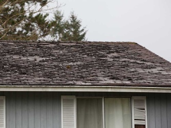 You Need a New Roof: 5 Telltale Signs